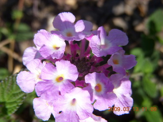 Cecelia and Gaby in shopping-cart car