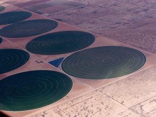 aerial - irrigation circles - Ken's picture