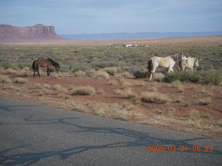 72 6tm. Monument Valley (UT25) run - horses