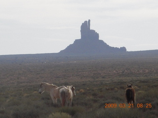 76 6tm. Monument Valley (UT25) run - horses
