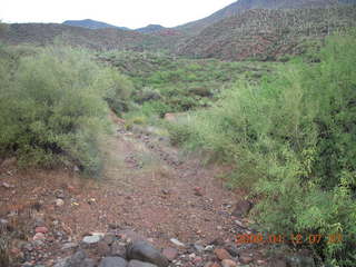 Red Creek airstrip run