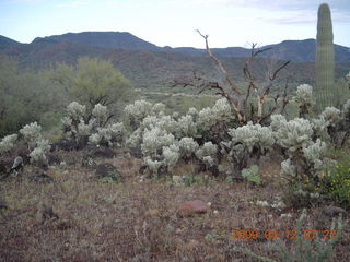 Red Creek airstrip run - creek