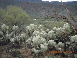 Red Creek airstrip run - creek