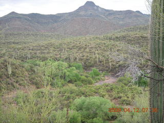 Red Creek airstrip run - fence