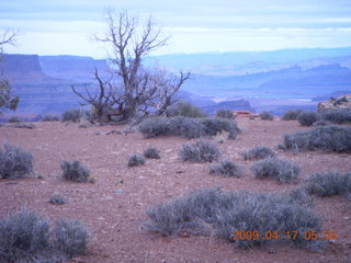 17 6uh. Canyonlands - Lathrop trail hike