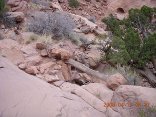 37 6uh. Canyonlands - Lathrop trail hike