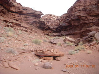 89 6uh. Canyonlands - Lathrop trail hike
