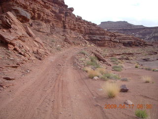90 6uh. Canyonlands - Lathrop trail hike