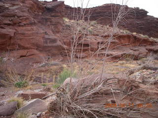 94 6uh. Canyonlands - Lathrop trail hike