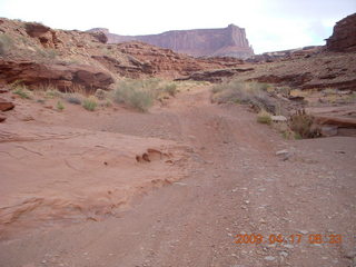 95 6uh. Canyonlands - Lathrop trail hike