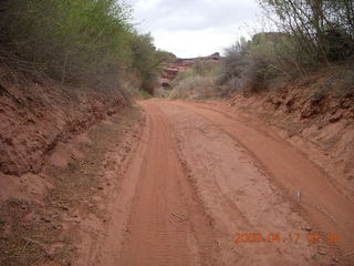 110 6uh. Canyonlands - Lathrop trail hike