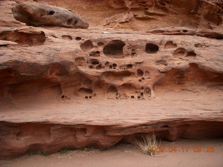 131 6uh. Canyonlands - Lathrop trail hike
