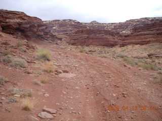 140 6uh. Canyonlands - Lathrop trail hike