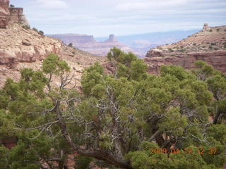 226 6uh. Canyonlands - Lathrop trail hike