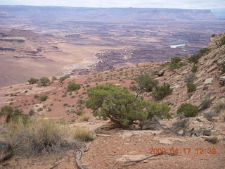 229 6uh. Canyonlands - Lathrop trail hike