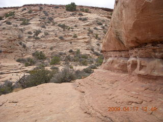 233 6uh. Canyonlands - Lathrop trail hike