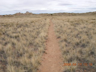 245 6uh. Canyonlands - Lathrop trail hike - grassy run at end