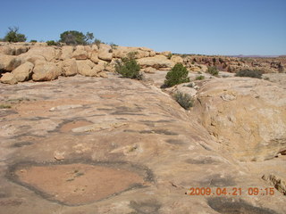 32 6um. Brown's Rim - Cateract Canyon area