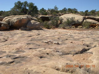 37 6um. Brown's Rim - Cateract Canyon area