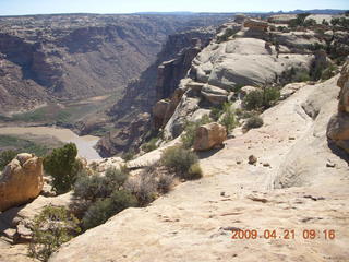43 6um. Brown's Rim - Cateract Canyon