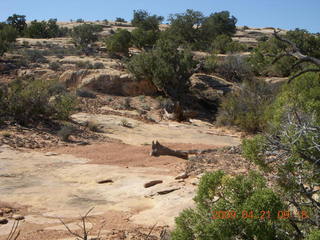 45 6um. Brown's Rim - Cateract Canyon area