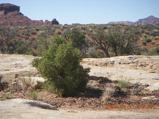 48 6um. Brown's Rim - Cateract Canyon area