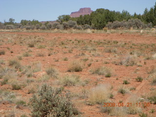 120 6um. Fry Canyon (UT74)