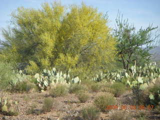 Superior Airport (E81) run