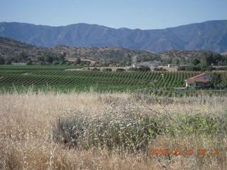 34 6vl. Agua Dolce (L70) run