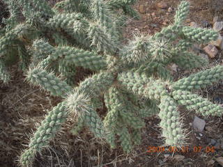 Superior Airport (E81) run - cool cactus