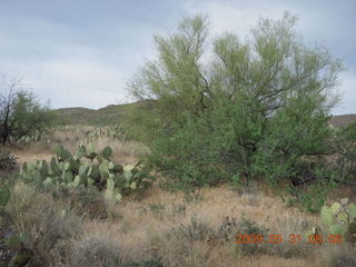 aerial - Superior Airport (E81)