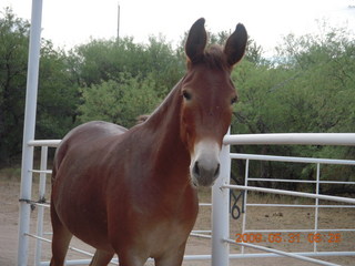 Superior Airport (E81) run