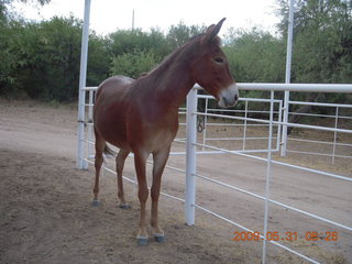 Superior Airport (E81) run