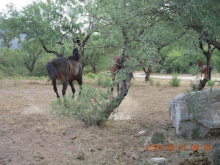 Superior Airport (E81) run