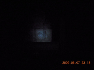 Lost Dog Wash - 'glowing' teddy-bear cholla cactus