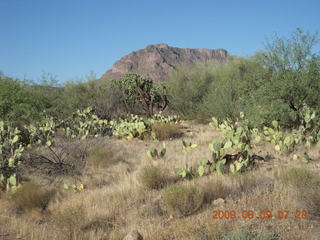 Superior Airport (E81) run - horses