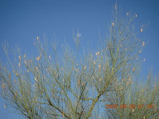 Superior Airport (E81) run - horse