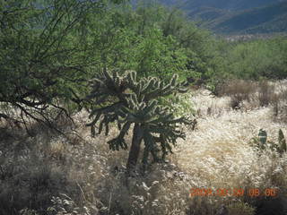 Superior Airport (E81) run - sign