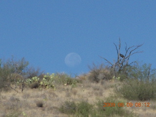 Superior Airport (E81) run - moon over trees