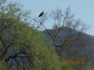 Superior Airport (E81) run