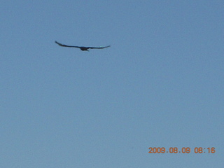 Superior Airport (E81) run