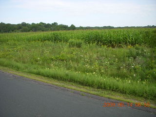 Minnesota country road - grass path - Kevin running