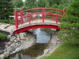 Japanese Garden - bridge