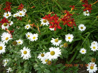 Afton, Minnesota, run - Adam running