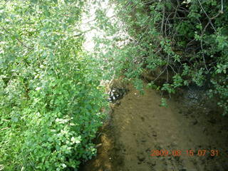 Afton, Minnesota, run - funky street sign