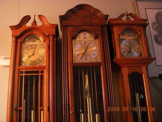 Birds - three clocks, three different times