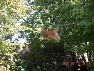 Philadelphia Zoo (blurry spider)