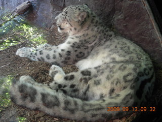 CHS XC 2009 - Cheltenham high school cafeteria