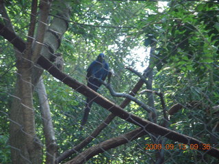 Philadelphia Zoo - bird