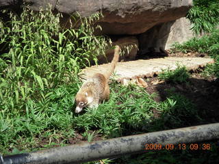 Philadelphia Zoo (blurry spider)